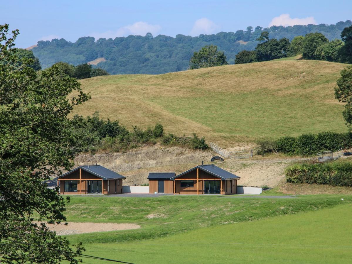 Meadow View Villa Meifod Exterior photo